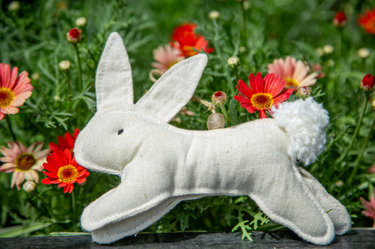 Canvas Bunny