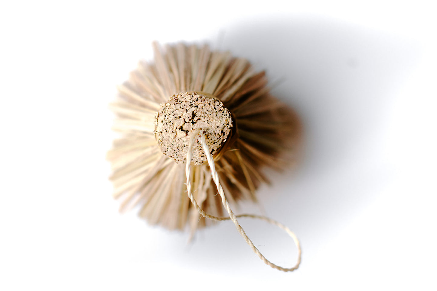 Eco-Friendly Birdhouse