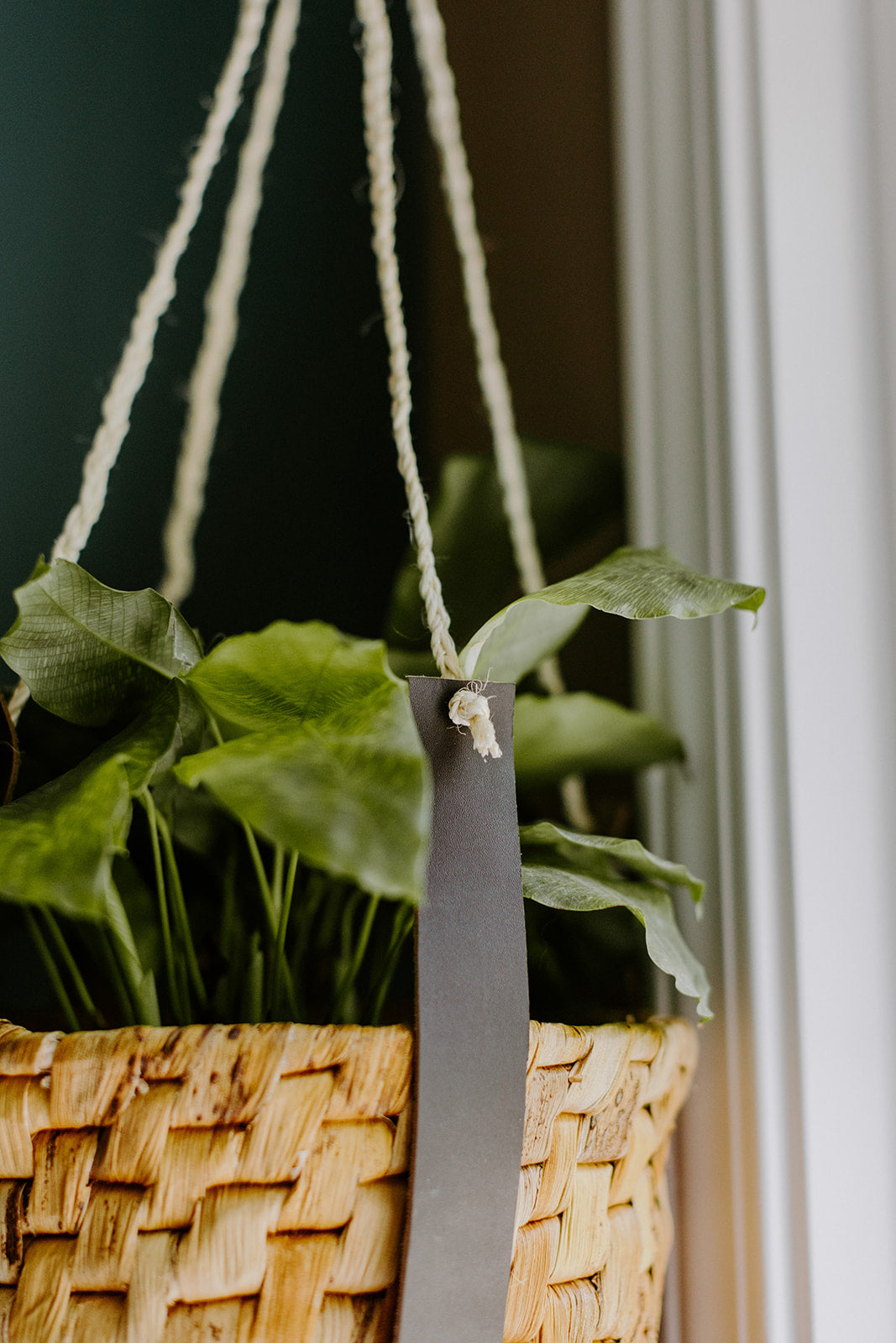 Leather Plant Hanger with Banana Leaf Basket