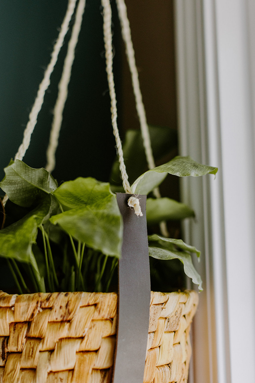 Leather Plant Hanger with Basket