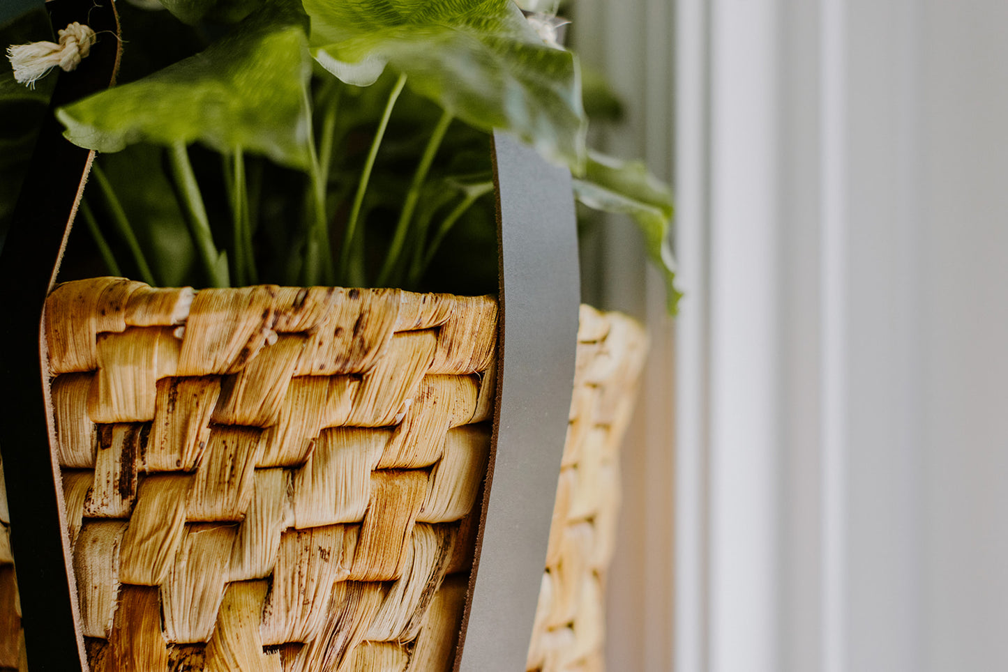 Leather Plant Hanger with Basket